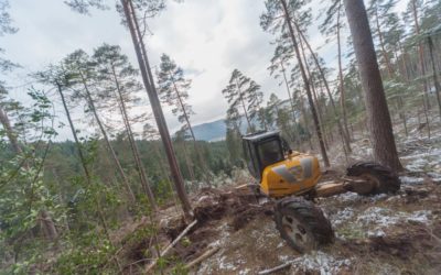 Entretien extérieur dans les Vosges